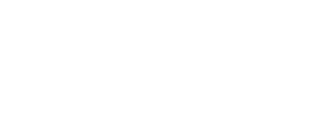 Logo - Auburn Opelika Tourism