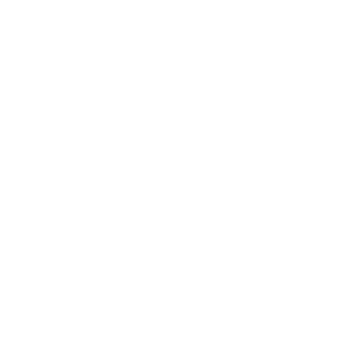 Logo - The Sound Wall
